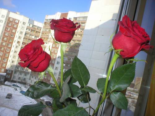 Поздравление с днем работников жилищно-коммунального хозяйства